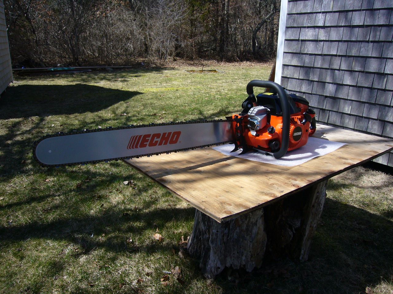 Echo CS1201 006_zpsqf2rlxrh.jpg Photo by leeha1959 Photobucket